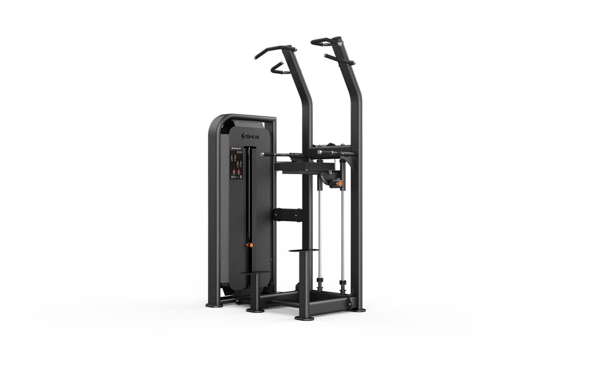 Shua G6851 Assist Dip/Chin selectorized machine, studio render 2 of 2