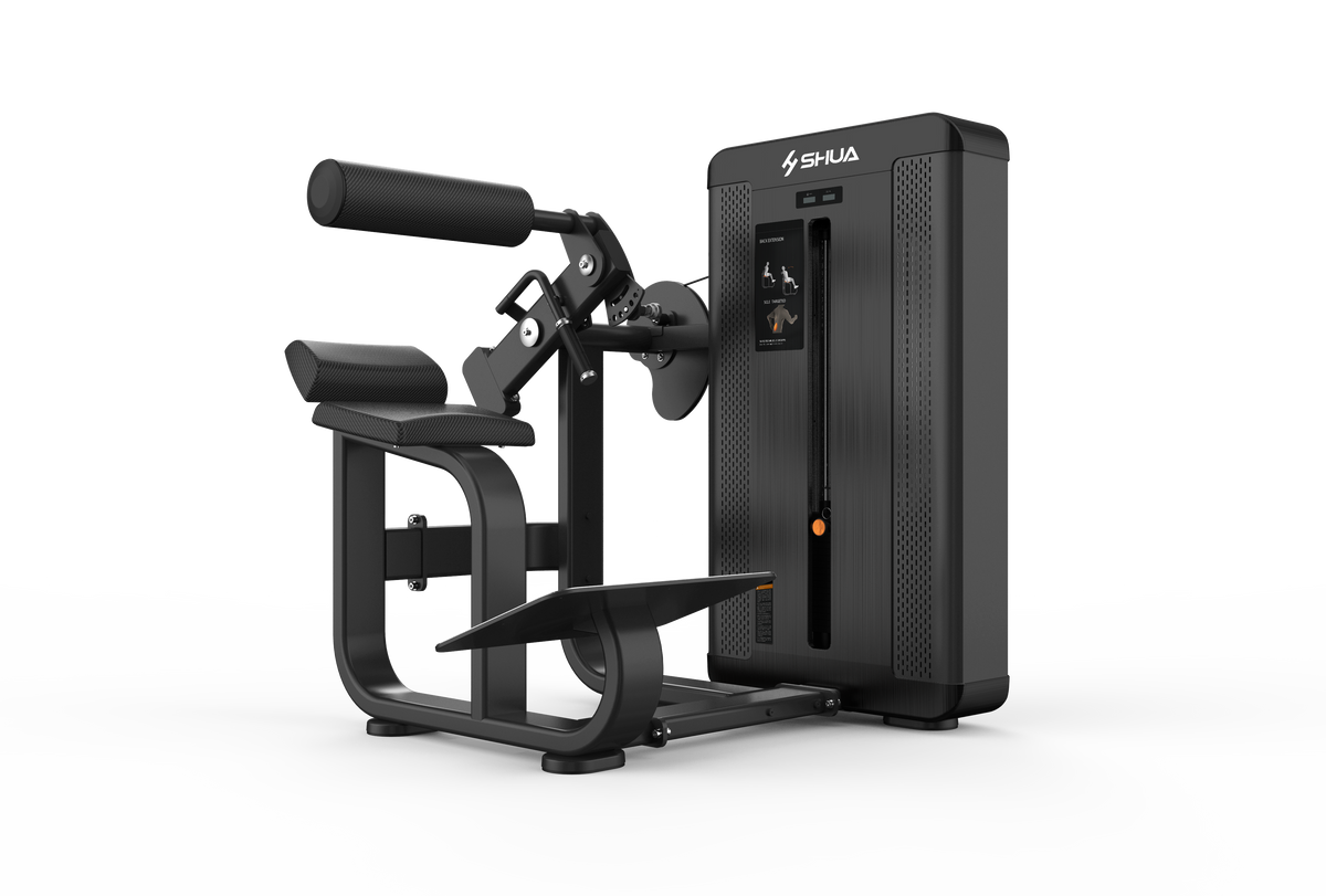 Shua G8812 Back Extension selectorized machine, studio render 4 of 4