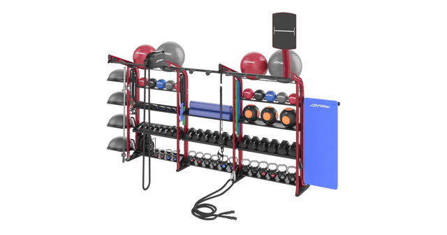 LIFE FITNESS SYNRGY 180 ROLLER STORAGE - Final Stock Life Fitness Synergy/Rack Addon Bolton 501-011-lf-synrgy-180_0977ead0-227e-421a-bd04-8ab93a3d1816