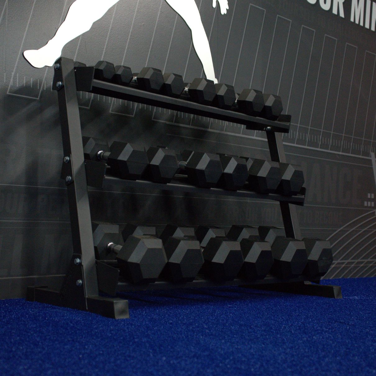 Gronk Fitness 3-Tier Dumbbell Storage Rack Gronk Fitness Products Dumbell racks, power block stand, plate and bar storage, kettlebell racks, ball racks gronkfitness_3-tier-dumbbell-storage-rack_view-5_d81232c0-bd60-4f2a-a06e-5cb051e6837f