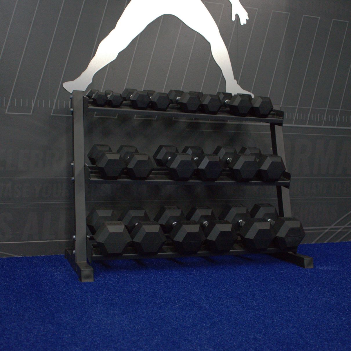 Gronk Fitness 3-Tier Dumbbell Storage Rack Gronk Fitness Products Dumbell racks, power block stand, plate and bar storage, kettlebell racks, ball racks gronkfitness_3-tier-dumbbell-storage-rack_view-6_dc231fa1-5159-45e9-9b95-d362002d9aad