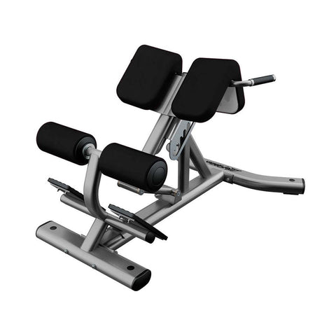 Life Fitness Back Extension Life Fitness Bench; flat/incline/decline benches life-fitness_back-extension_main
