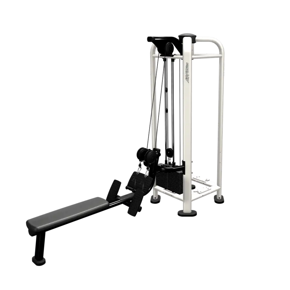 Life Fitness - PWR Play Dual Cable Row