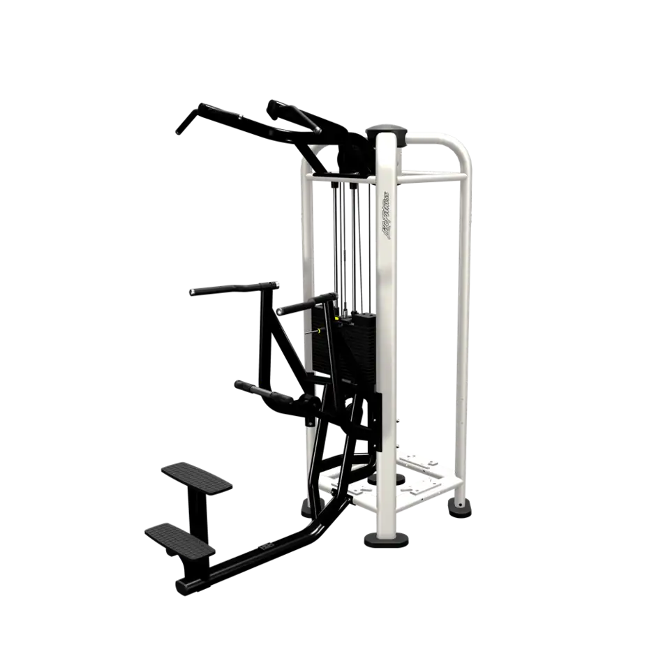 Life Fitness - PWR Play Dual Cable Row