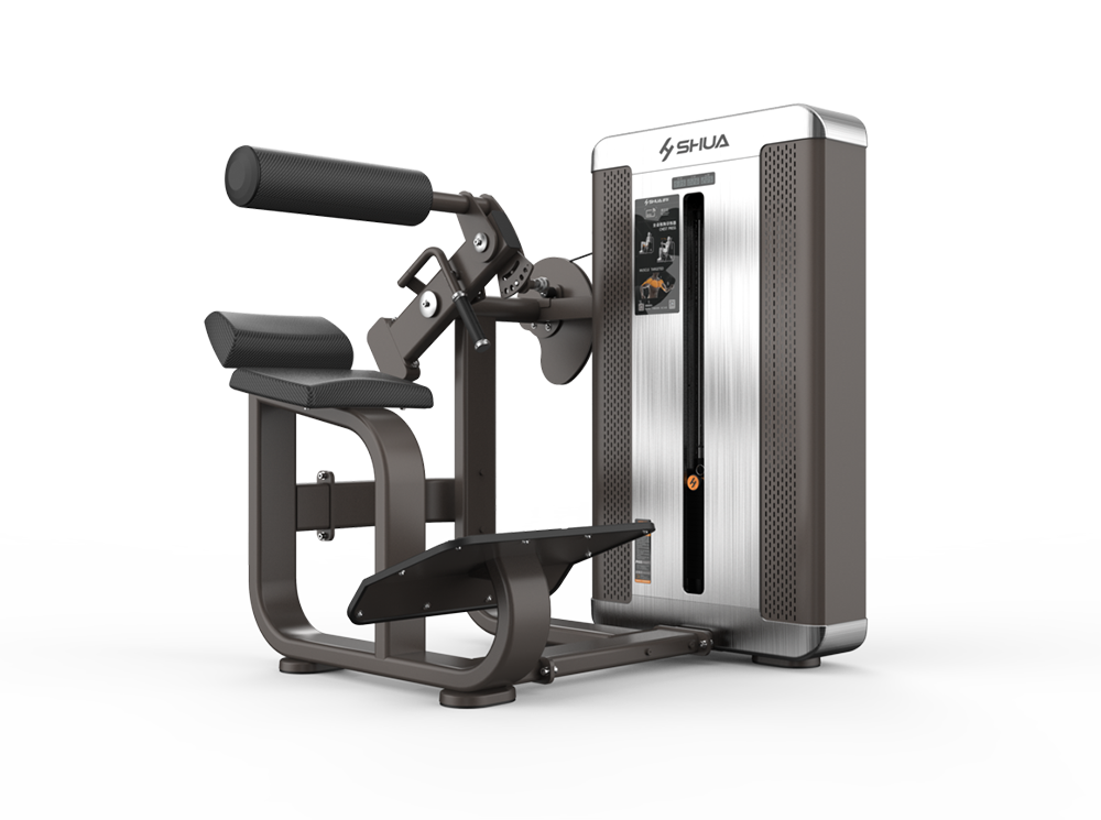 Shua G8812 Back Extension selectorized machine, studio render 2 of 4