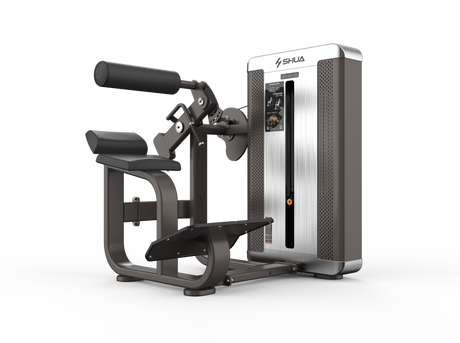 Shua G8812 Back Extension selectorized machine, studio render 2 of 4